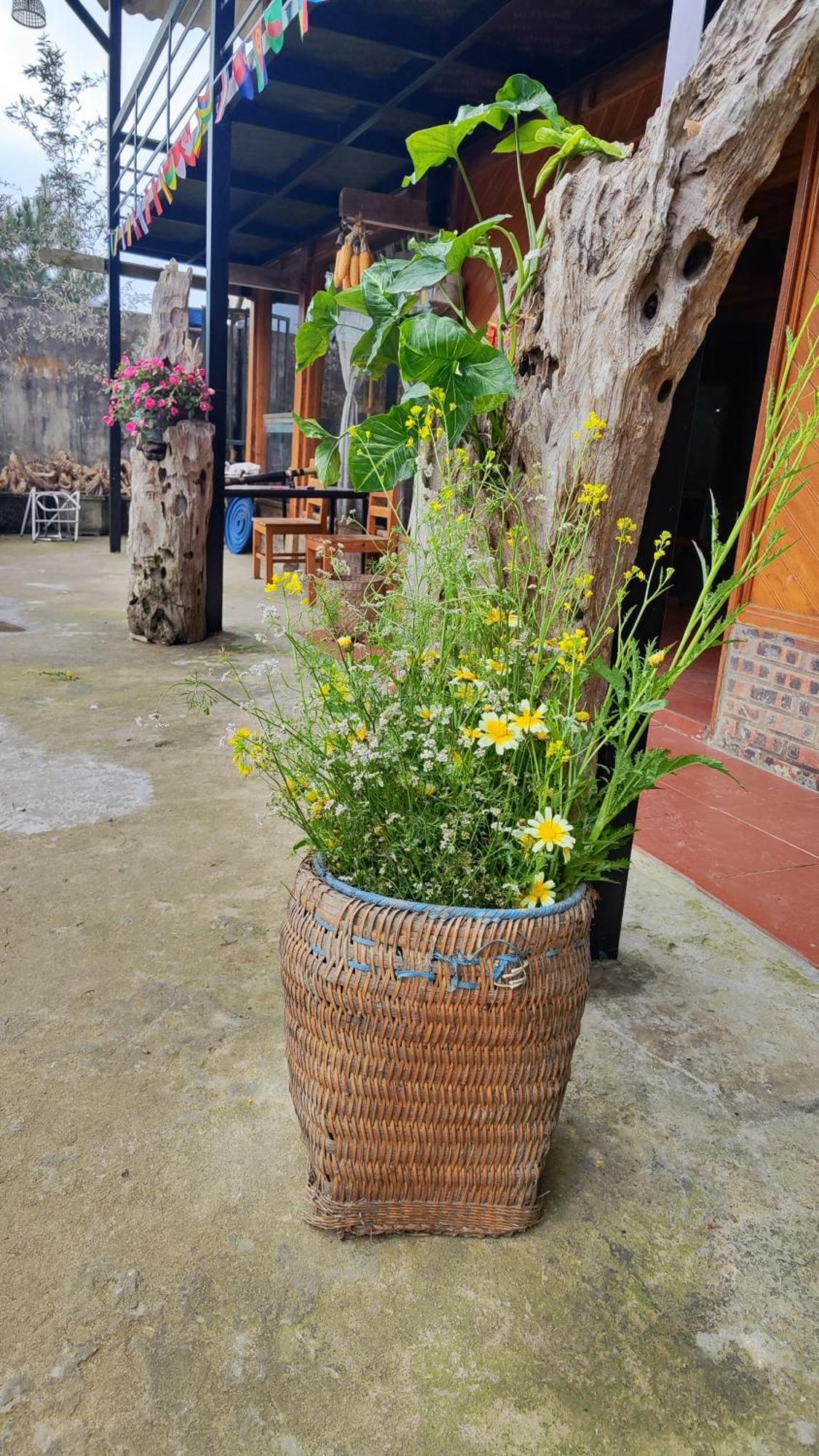 Tavan View Homestay Шапа Экстерьер фото